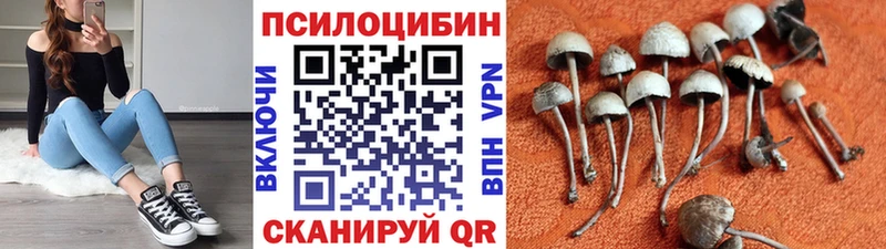как найти наркотики Вытегра Галлюциногенные грибы Cubensis